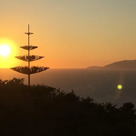 招待所 La Brezza Di Capri 阿纳卡普里